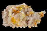 Orange Wulfenite Crystals on Quartz - Red Cloud Mine, Arizona #118962-1